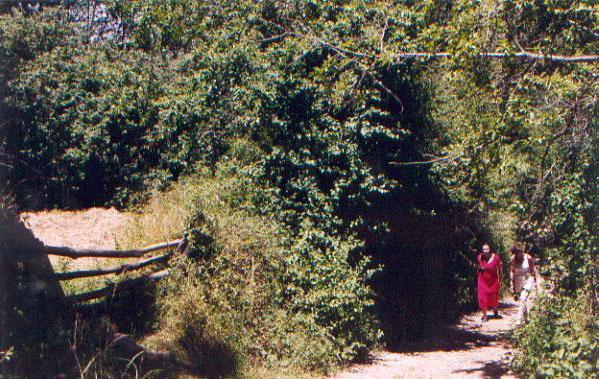 El Risco del Lomero Valdelarco Exterior foto