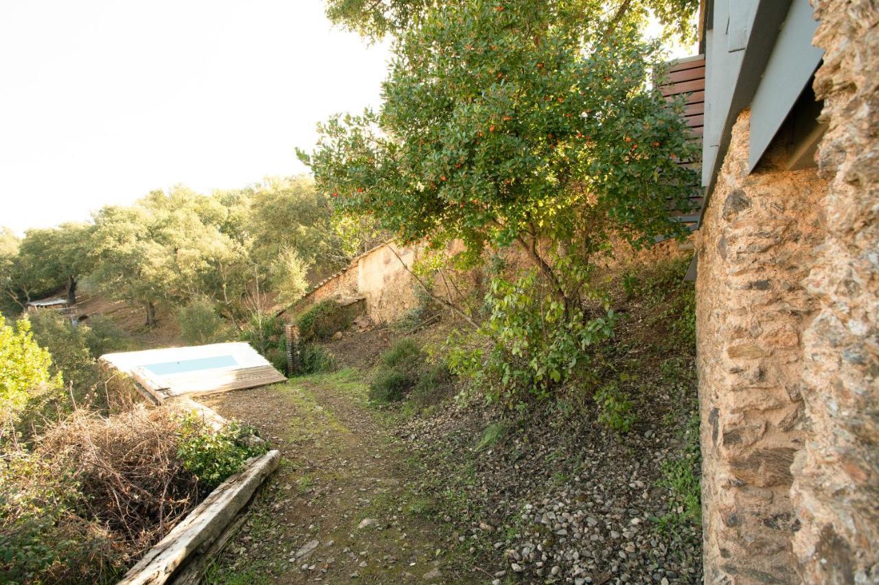 El Risco del Lomero Valdelarco Exterior foto
